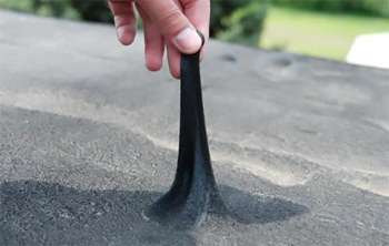 napilyamaya2 (1).jpg